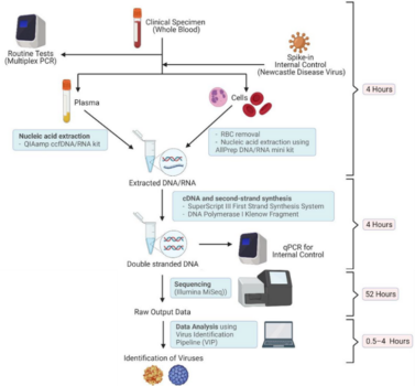 Metagenomics for pathogen discovery and detection