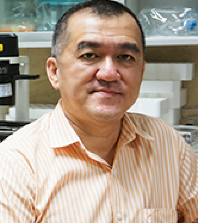 Prof. Dr. Pongsak Utaisincharoen