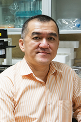 Prof. Dr. Pongsak Utaisincharoen
